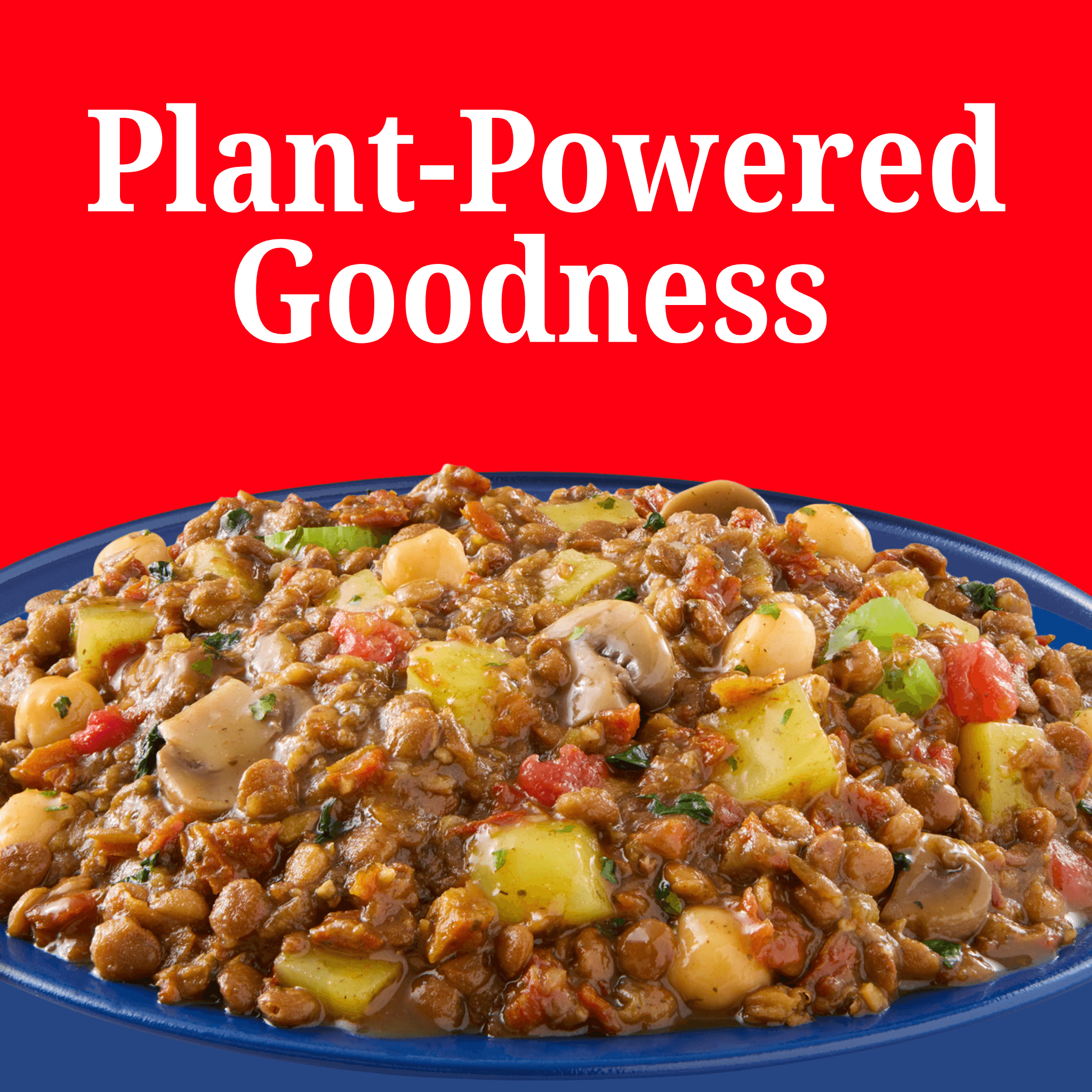 Hearty Lentil Stew