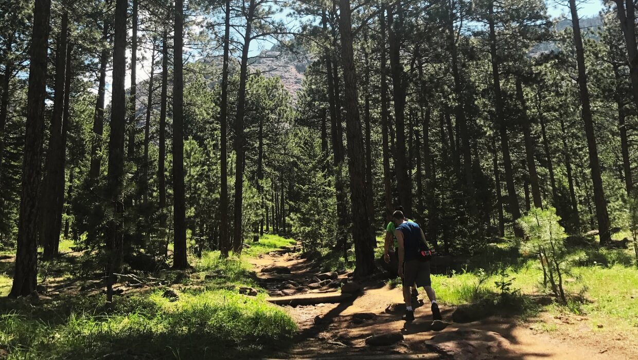 Hikers crossing a grassy hillside